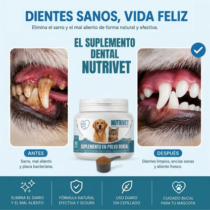 Polvo Dental para perros y gatos — adiós al mal aliento en 30 segundos por día